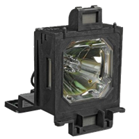 EIKI LC-XG500 Lamp with housing