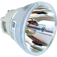 JVC LX-UH1B Lamp without housing