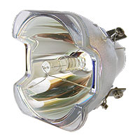 LUXEON Z5 Lamp without housing