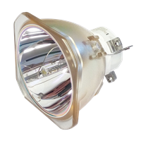 NEC NP-PA521U Lamp without housing