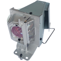 NEC VE303X Lamp with housing