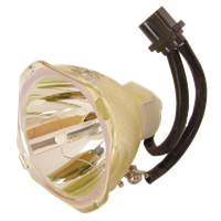 PANASONIC PT-BX20 Lamp without housing