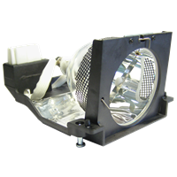 PANASONIC PT-D7 Lamp with housing