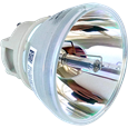 Generic bulb PHILIPS-UHP 240/170W 0.8 E20.7